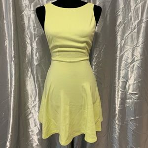 Ponte Sleeveless Skater Dress